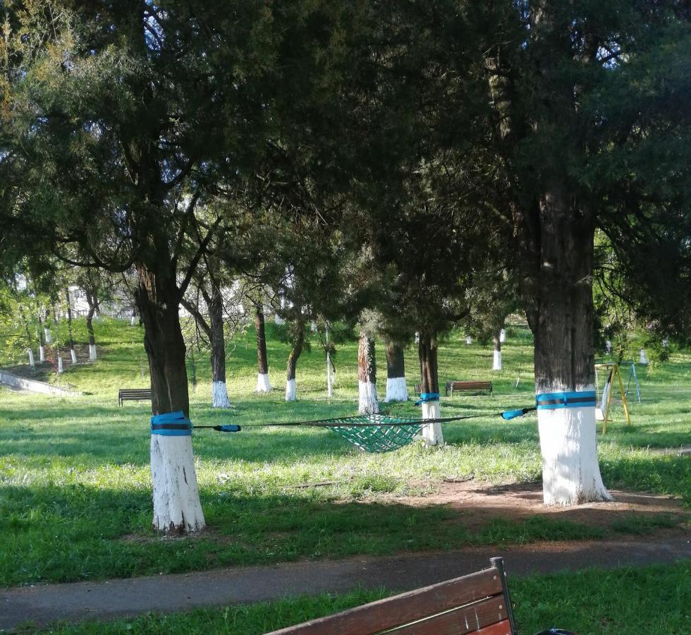 Amigohd Apartment Hunedoara Bagian luar foto